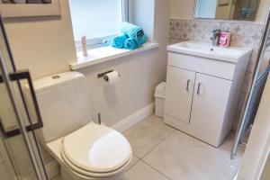 a bathroom with a toilet and a sink at The Wee Snug Portrush in Portrush