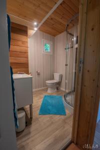 a bathroom with a shower and a toilet and a sink at Le lodge sur pilotis in Fichous-Riumayou