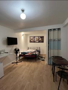 TV a/nebo společenská místnost v ubytování Appartement en centre-ville