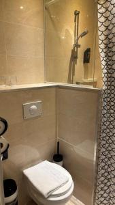 a small bathroom with a toilet and a shower at Hotel Aadam Wilhelmina in Amsterdam