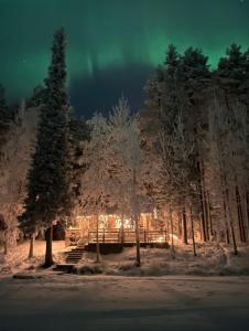 a group of trees with lights in the snow at Rytiniemen rantamökki in Ranua