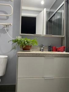 a kitchen counter with a sink and a potted plant at Belíssimo apartamento em Porto Alegre! in Porto Alegre