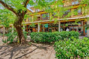 a building with a tree in front of it at PF26 Excelente Casa 4 Suítes - Praia do Forte in Mata de Sao Joao