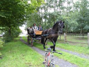 a horse pulling a carriage full of people at B&B Ter Castaigne in Koekelare