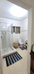 a bathroom with a shower and a toilet at Lazey Bazely Beach Cottage in Bazley Beach