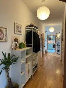 a living room with white shelves and a hallway at Schönes, Zentral gelegenes KulturZimmer in Erfurt