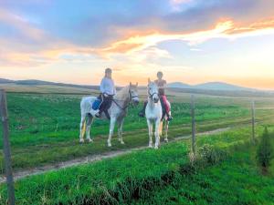 Zvířata v vily nebo okolí