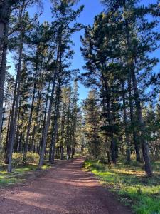 Naturlandskabet i nærheden af lejligheden