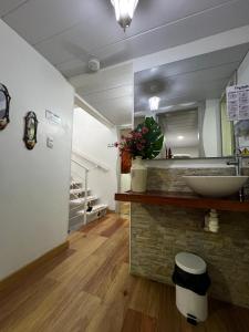 a bathroom with a sink and a large mirror at Elizabetha Hostal in Salento +48 photos