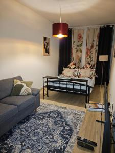 a living room with a couch and a table at Olymp 1-4 in Bamberg