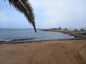 a beach with a palm tree and the ocean at APARTAMENTOS FLOR in Caleta de Sebo +35 photos