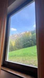 ein Fenster mit Blick auf ein grünes Feld in der Unterkunft Villa & Spa Plaiul Foii - Sierra Blanca in Zărneşti