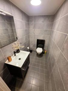 a bathroom with a sink and a toilet at Nice apartment in the center of Trysil 402 in Trysil