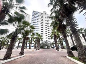 a palm tree lined street in front of a large building at Suite Exclusiva detrás del Decameron Punta Centinela 9F in Punta Blanca