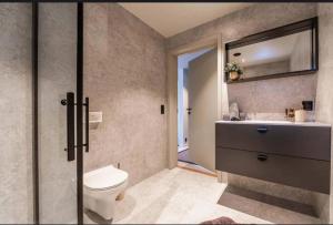 un baño con inodoro y lavabo en New house in the center of Trysil, en Trysil