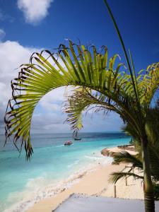 Φυσικό τοπίο κοντά σε αυτό το διαμέρισμα