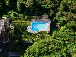 an overhead view of a swimming pool in a forest at Hotel Tannhof in Caldaro +21 photos