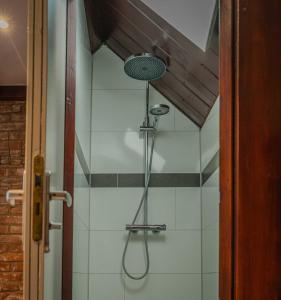 una ducha con cabezal de ducha en un baño en SuiteXO, en Enschede