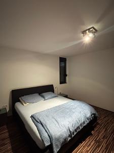 a bedroom with a bed and a light on the ceiling at Villa Bukvic in Zavidovići +16 photos