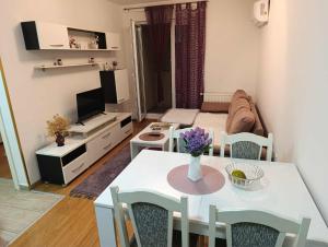 TV a/nebo společenská místnost v ubytování Apartman Čakarević + 7 fotografií