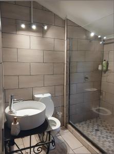 a bathroom with a sink and a toilet and a shower at Aero Garden Ensuite in Johannesburg