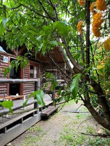 Zahrada ubytování El Durazno Apart Hotel y Cabañas