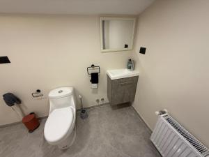 une salle de bain avec toilettes, lavabo et miroir dans l'établissement Casa cerca costanera central, à Punta Arenas
