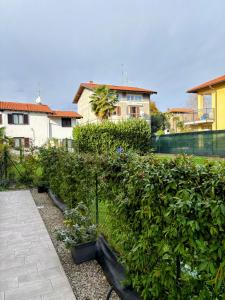 a garden with green plants in a yard at Luino Family Retreat in Luino