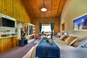 a living room with a bed and a tv at Pousada Chalé Suiço Bombinhas in Bombinhas