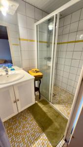 a bathroom with a shower and a sink at Le Moulin de Bel Air in Joué-sur-Erdre +17 photos