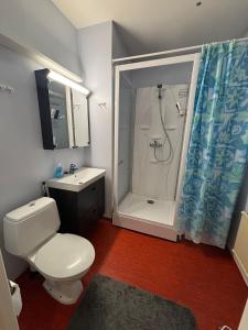 a bathroom with a white toilet and a shower at Apartment for five near Railway station in Rovaniemi
