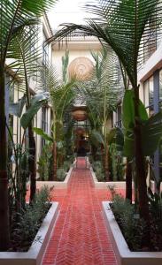 Φωτογραφία από το άλμπουμ του Miostello Lifestyle Riad Marrakech στο Μαρακές