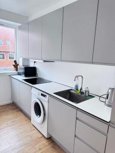 Kuchyň nebo kuchyňský kout v ubytování Bright and cozy apartment in north Copenhagen close to nature