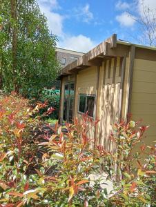 Κήπος έξω από το Encantadora tiny house en Cajicá campestre