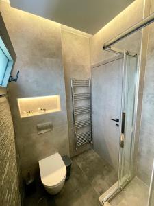 a bathroom with a toilet and a shower at Kairos luxury apartments Fanari 2 in Fanárion