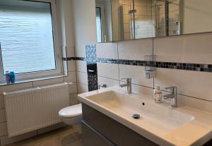 a bathroom with a sink and a toilet and a window at Gästewohnung Rosengarten- Damaschke Straße in Halle an der Saale