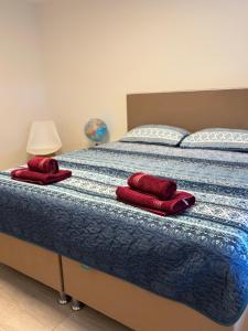 a bed with two red pillows on top of it at Gästewohnung Rosengarten- Damaschke Straße in Halle an der Saale