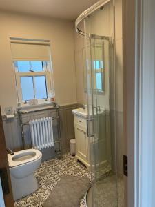 a bathroom with a toilet and a glass shower at Paul's country cottage in Donegal +5 photos