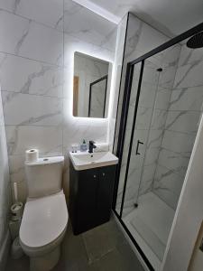 a bathroom with a toilet and a sink and a shower at Victoria on the Park in Dublin