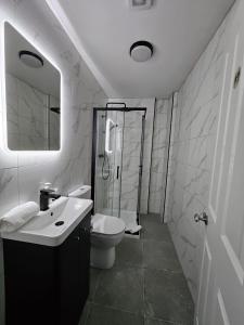 a bathroom with a toilet and a sink and a shower at Victoria on the Park in Dublin