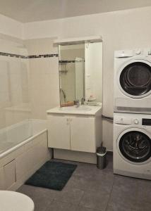 une salle de bain avec un lavabo et une machine à laver dans l'établissement Appartement avec jardin - Claye-Souilly, à Claye-Souilly