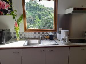 a kitchen counter with a sink and a window at Gîte Ti Roucou in Petit-Bourg