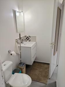 a bathroom with a white toilet and a sink at Gîte Ti Roucou in Petit-Bourg