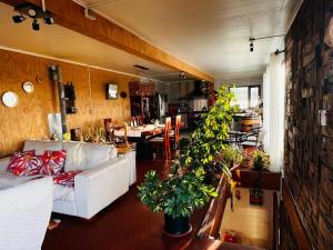 巴拉斯港Casa con vista a los volcanes y Lago Llanquihue的客厅里有一张白色沙发和一些植物
