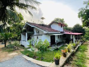 Zahrada ubytování Alice House Hiriketiya