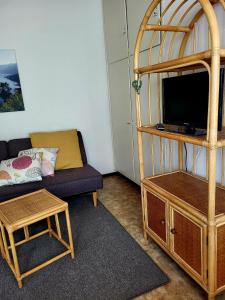 een woonkamer met een bank en een stapelbed bij Casa Adelizia in Ascona