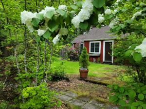 a garden with a small tree in front of a house at Moon Mountain Lodging in Packwood