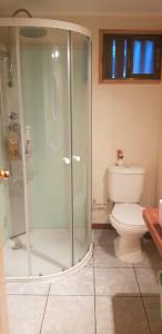 a bathroom with a shower and a toilet at Luna del maipo in El Ingenio