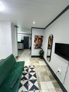 TV a/nebo společenská místnost v ubytování Blade Flatlet