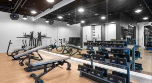 Fitness centrum a/nebo fitness zařízení v ubytování The Slate Luxury Capitol View DOCO Golden 1